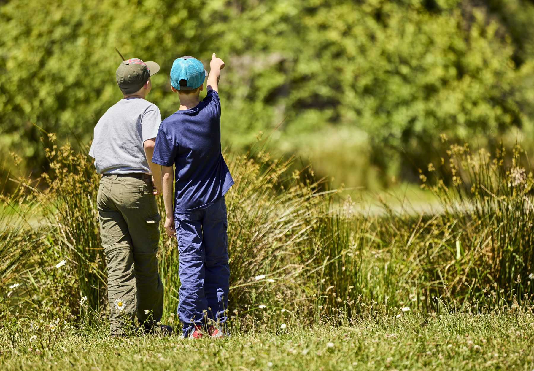 Two scouts exploring a meadow